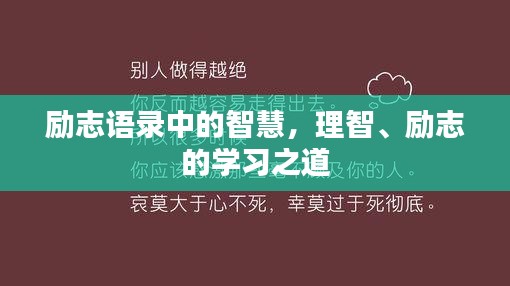 2025年5月5日 第2页