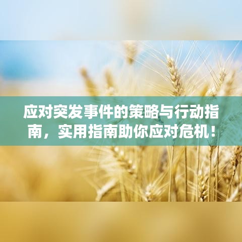 应对突发事件的策略与行动指南，实用指南助你应对危机！