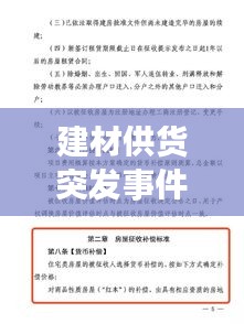 敷衍了事