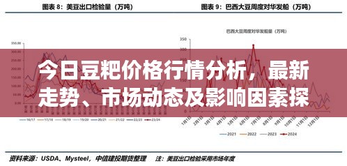 今日豆粑价格行情分析，最新走势、市场动态及影响因素探讨