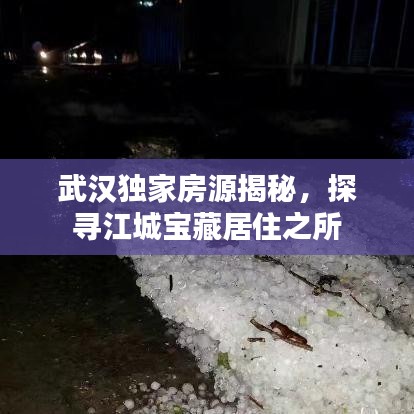 武汉独家房源揭秘，探寻江城宝藏居住之所