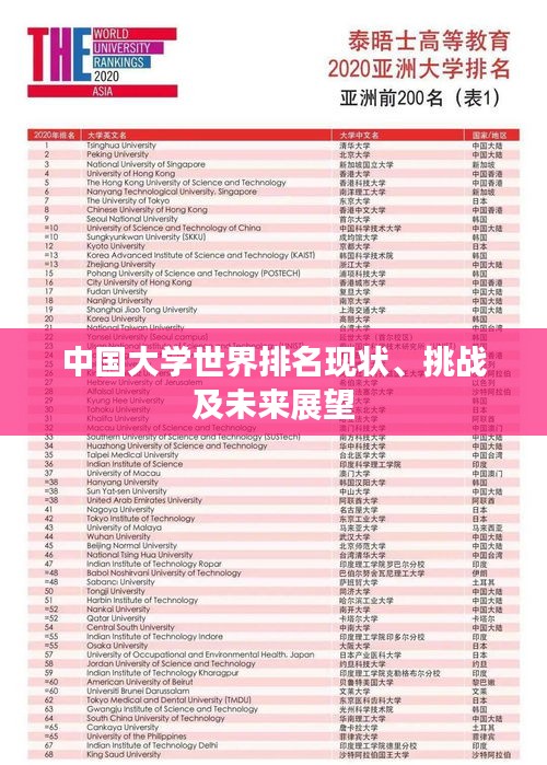 中国大学世界排名现状、挑战及未来展望