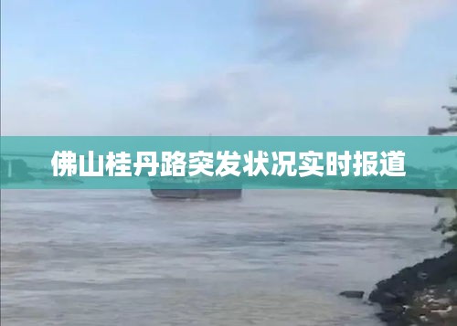 容光焕发