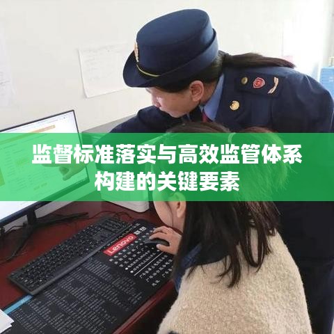 监督标准落实与高效监管体系构建的关键要素