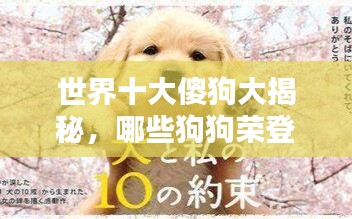 世界十大傻狗大揭秘，哪些狗狗荣登榜单？