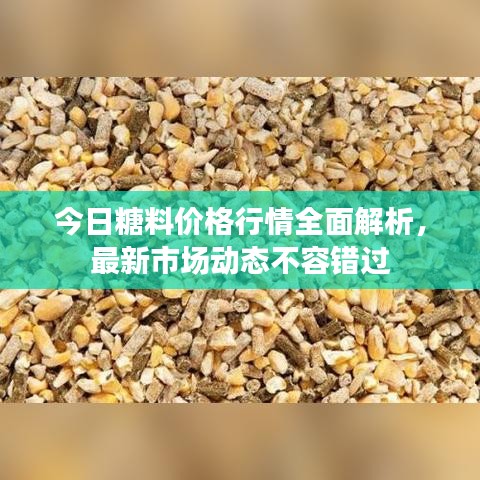 今日糖料价格行情全面解析，最新市场动态不容错过