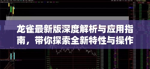 龙雀最新版深度解析与应用指南，带你探索全新特性与操作技巧！