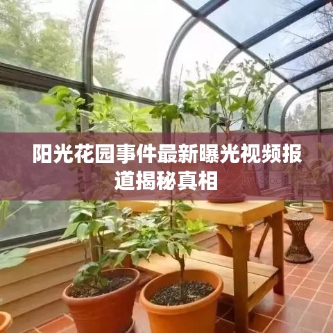 阳光花园事件最新曝光视频报道揭秘真相