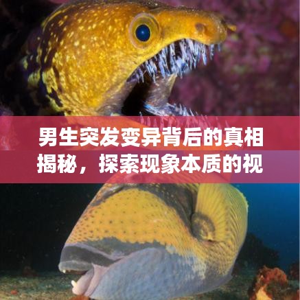 男生突发变异背后的真相揭秘，探索现象本质的视频