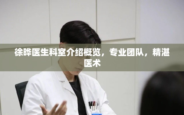 徐晔医生科室介绍概览，专业团队，精湛医术